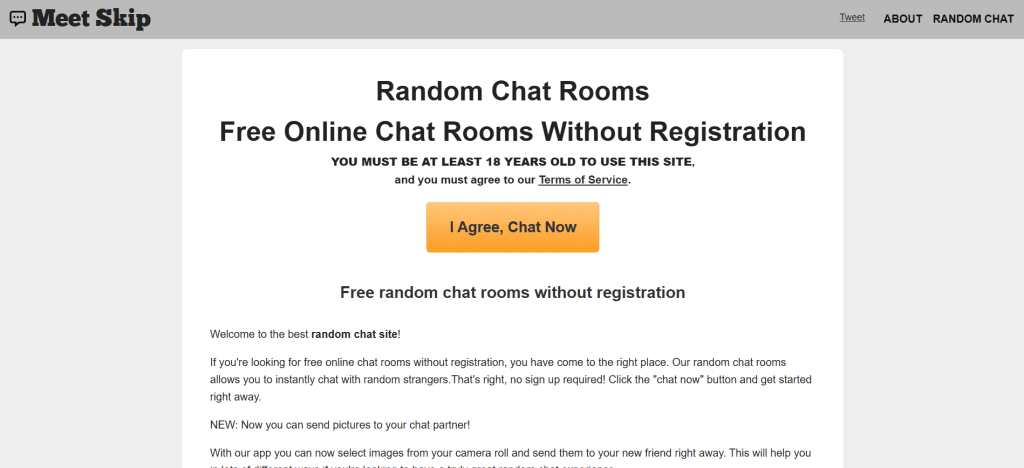 meet skip image showing random video chat platform with anonymous pairing system and live face to face interactions with strangers online