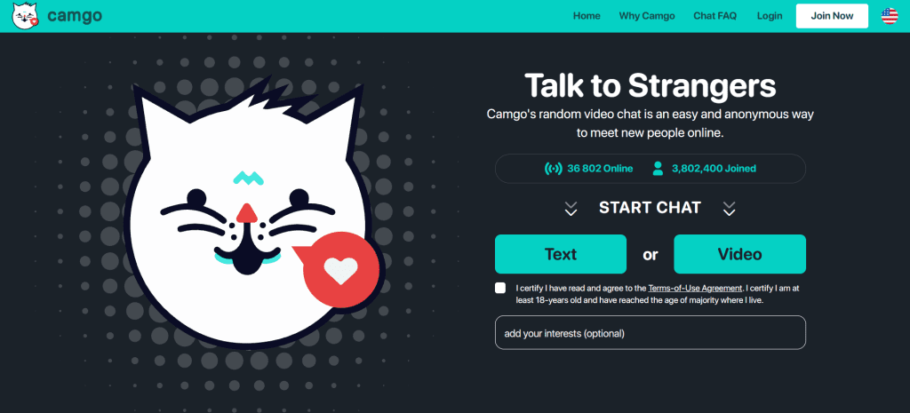 camgo image showing random video chat platform with anonymous pairing system and live face to face interactions with strangers online
