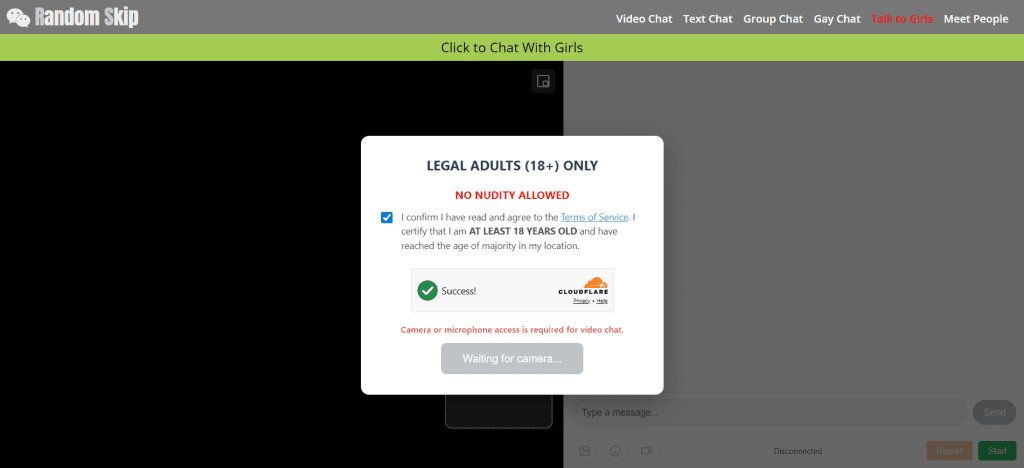 randomskip homepage screenshot showing random video chat interface with instant pairing system to chat to strangers online